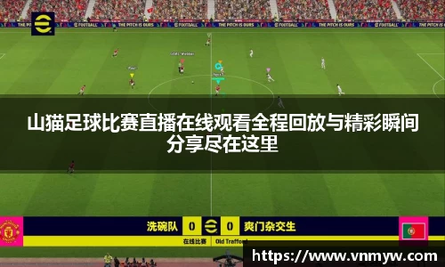 mk体育在线官网