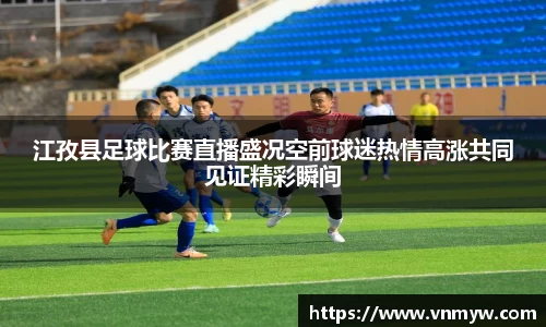 mk体育官网入口