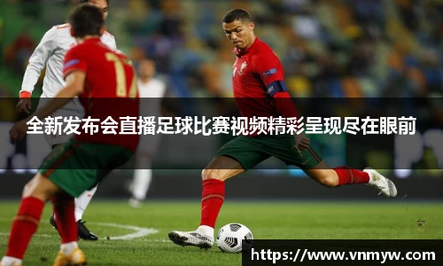 mk体育在线官网