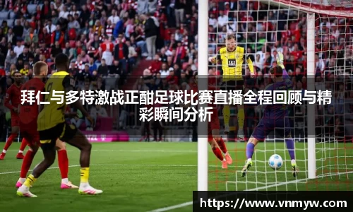 mk体育官网入口