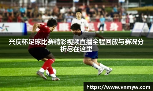 mk体育官网入口