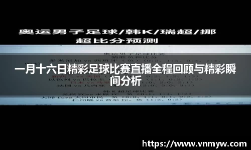 mk体育官网入口