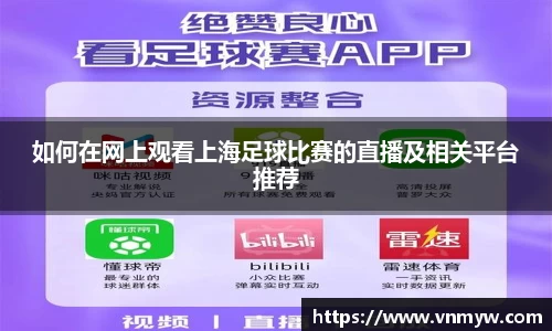 mk体育官网入口