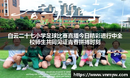 mk体育官网入口