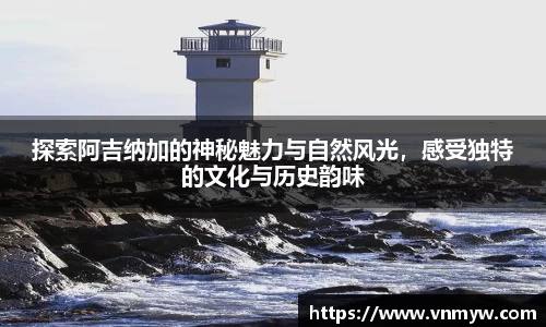 mk体育官网入口