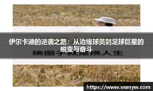 mk体育在线官网