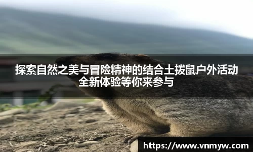 mk体育在线官网