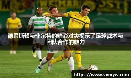 mk体育官网入口